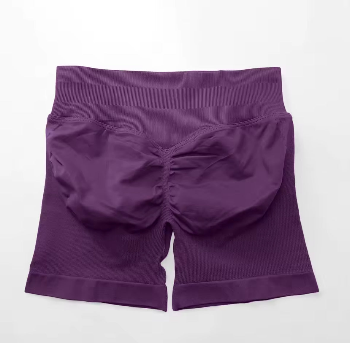 Women’s Fitness Sports Shorts